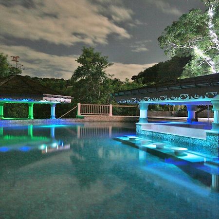 Отель Tropical Hideaway Port Elizabeth Экстерьер фото