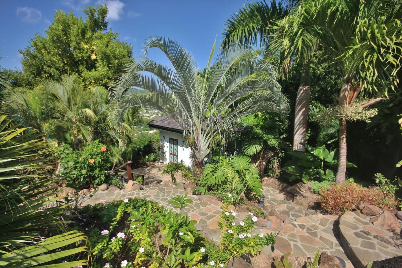 Отель Tropical Hideaway Port Elizabeth Экстерьер фото