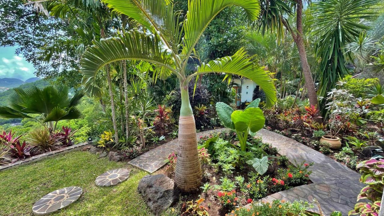 Отель Tropical Hideaway Port Elizabeth Экстерьер фото