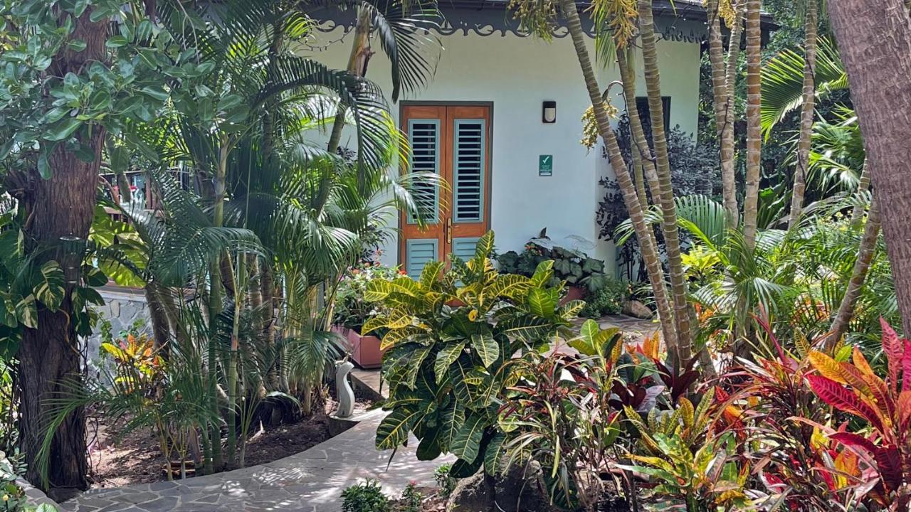 Отель Tropical Hideaway Port Elizabeth Экстерьер фото