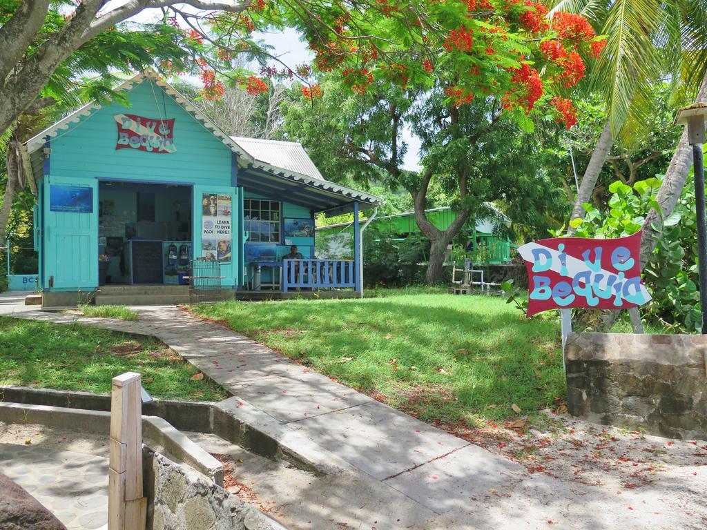 Отель Tropical Hideaway Port Elizabeth Экстерьер фото